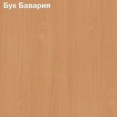 Антресоль для большого шкафа Логика Л-14.3 в Озерске - ozersk.mebel24.online | фото 2