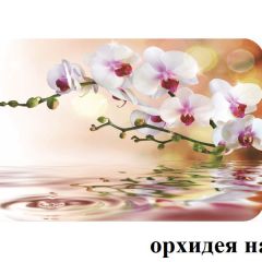 БОСТОН - 2 опоры Брифинг в Озерске - ozersk.mebel24.online | фото 4