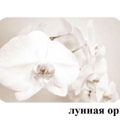 БОСТОН - 2 опоры Брифинг в Озерске - ozersk.mebel24.online | фото 25