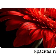 БОСТОН - 2 опоры Триумф в Озерске - ozersk.mebel24.online | фото 50