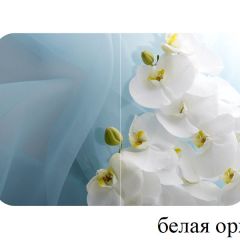 БОСТОН опоры Триумф в Озерске - ozersk.mebel24.online | фото 13