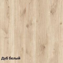 Эйп Шкаф комбинированный 13.14 в Озерске - ozersk.mebel24.online | фото 4