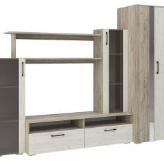 Гостиная Эмма (Дуб Крафт серый/белый) в Озерске - ozersk.mebel24.online | фото 2