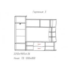 Гостиная ГАРМОНИЯ-3 (ЦРК.ГРМ.03) в Озерске - ozersk.mebel24.online | фото 2