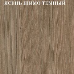Кровать 2-х ярусная с диваном Карамель 75 (Газета) Ясень шимо светлый/темный в Озерске - ozersk.mebel24.online | фото 5