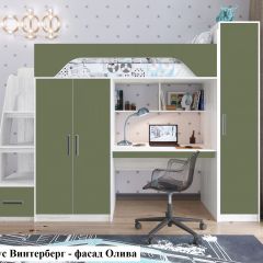 Кровать-чердак Тея (*Без Пенала) в Озерске - ozersk.mebel24.online | фото 6