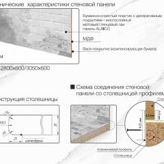 Кухонный фартук со столешницей (А-010) в едином стиле (3050 мм) в Озерске - ozersk.mebel24.online | фото 6