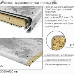 Кухонный фартук со столешницей (А-06) в едином стиле (3050 мм) в Озерске - ozersk.mebel24.online | фото 6