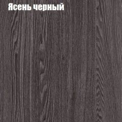 Прихожая ДИАНА-4 сек №11 (Ясень анкор/Дуб эльза) в Озерске - ozersk.mebel24.online | фото 3