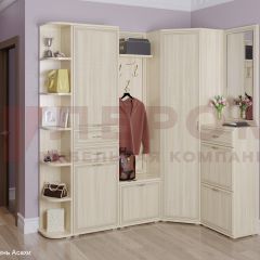 Прихожая Карина композиция 5 (Ясень Асахи) в Озерске - ozersk.mebel24.online | фото