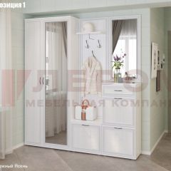 Прихожая Карина (модульная) в Озерске - ozersk.mebel24.online | фото 3