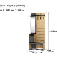 ОЛЬГА-ЛОФТ 1 Прихожая в Озерске - ozersk.mebel24.online | фото 4