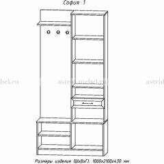 Прихожая София 1 в Озерске - ozersk.mebel24.online | фото 3