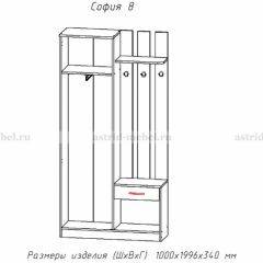 Прихожая София 8 в Озерске - ozersk.mebel24.online | фото 2