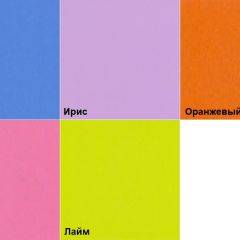Шкаф 2-х створчатый с ящиками (1000) в Озерске - ozersk.mebel24.online | фото 5