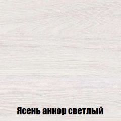 Шкаф 2-х створчатый МСП-1 (Ясень Анкор светлый) в Озерске - ozersk.mebel24.online | фото 4