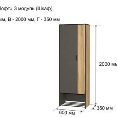ОЛЬГА-ЛОФТ 3 Шкаф 2-х створчатый в Озерске - ozersk.mebel24.online | фото 4