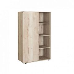 Шкаф комбинированный Дельта Лофт-13 Дуб Ирладндский в Озерске - ozersk.mebel24.online | фото