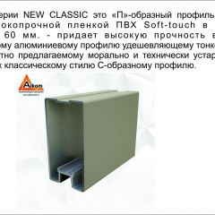 Шкаф-купе 1500 серии NEW CLASSIC K2+K2+B2+PL2(2 ящика+1 штанга+1 полка) профиль «Капучино» в Озерске - ozersk.mebel24.online | фото 17