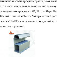 Шкаф-купе 1500 серии SILVER S1+S1+B2+PL2 (2 ящика+1 штанга+1 полка) профиль «Серебро» в Озерске - ozersk.mebel24.online | фото 4