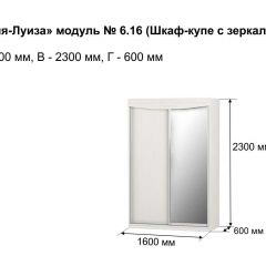 Шкаф-купе 1600 с зеркалом "Мария-Луиза 6.16" в Озерске - ozersk.mebel24.online | фото 4