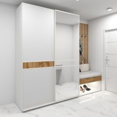 Шкаф-купе 1600 серии SOFT D6+D4+B2+PL2 (2 ящика+1штанга+1 полка) профиль «Капучино» в Озерске - ozersk.mebel24.online | фото 5