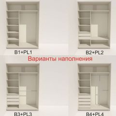 Шкаф-купе 1600 серии SOFT D6+D4+B2+PL2 (2 ящика+1штанга+1 полка) профиль «Капучино» в Озерске - ozersk.mebel24.online | фото 7