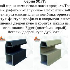 Шкаф-купе 1800 серии SOFT D6+D6+B2+PL3 (2 ящика+2штанги) профиль «Капучино» в Озерске - ozersk.mebel24.online | фото 12