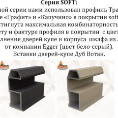 Шкаф-купе 2100 серии SOFT D4+D4+D4+B22+PL1 (по 2 ящика лев/прав+1штанга) профиль «Графит» в Озерске - ozersk.mebel24.online | фото 12