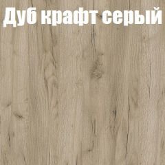 Шкаф-купе Эдем 1.5 (Дуб Крафт серый/Бетонный камень) двери ЛДСП вставка зеркало в Озерске - ozersk.mebel24.online | фото 4