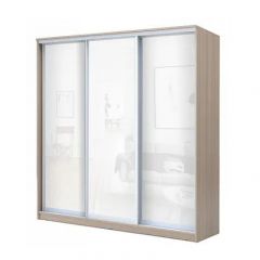 Шкаф-купе ХИТ 22-20/2-888 (620) в Озерске - ozersk.mebel24.online | фото 7