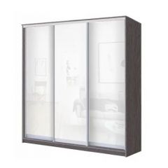 Шкаф-купе ХИТ 22-20/2-888 (620) в Озерске - ozersk.mebel24.online | фото 9