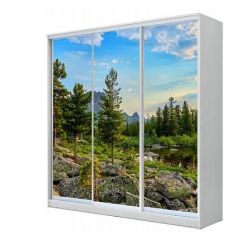 Шкаф-купе ХИТ 23-18/2-777 (620) в Озерске - ozersk.mebel24.online | фото