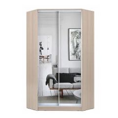 Шкаф-купе ХИТ-У-22-4-55 в Озерске - ozersk.mebel24.online | фото 8