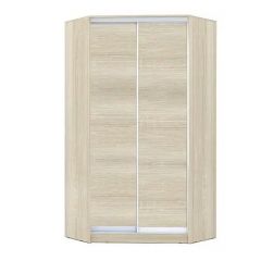 Шкаф-купе ХИТ-У-L-22-64-11 в Озерске - ozersk.mebel24.online | фото 7