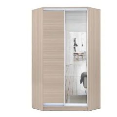 Шкаф-купе ХИТ-У-R-24-64-15 в Озерске - ozersk.mebel24.online | фото 9