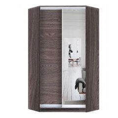 Шкаф-купе ХИТ-У-R-24-64-15 в Озерске - ozersk.mebel24.online | фото 11