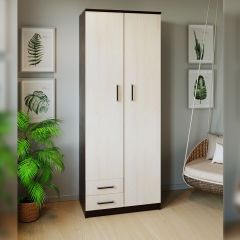 Шкаф распашной ПШ-3.9 в Озерске - ozersk.mebel24.online | фото 3