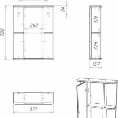 Шкаф-зеркало Норма 2-50 левый АЙСБЕРГ (DA1607HZ) в Озерске - ozersk.mebel24.online | фото 10