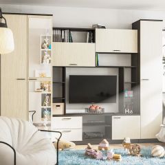 Стенка Марта 11 (Венге/Беленый дуб) в Озерске - ozersk.mebel24.online | фото