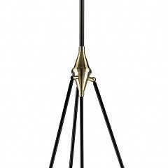 Светильник на штанге Lightstar Modena 816047 в Озерске - ozersk.mebel24.online | фото
