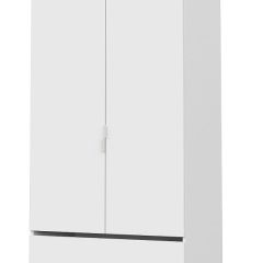 Токио Шкаф двухстворчатый с двумя ящиками в Озерске - ozersk.mebel24.online | фото