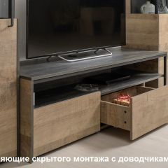 Трувор гостиная (модульная) в Озерске - ozersk.mebel24.online | фото 19
