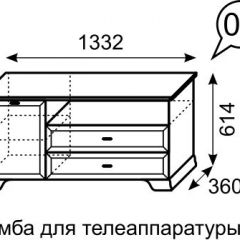 Тумба для телеаппаратуры Венеция 6 бодега в Озерске - ozersk.mebel24.online | фото 2