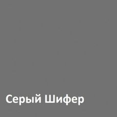 Юнона Шкаф торцевой 13.221 в Озерске - ozersk.mebel24.online | фото 2