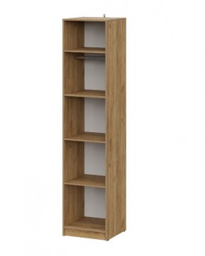 АВИНЬОН Прихожая Пенал (Дуб Крафт золотой/Графит серый) в Озерске - ozersk.mebel24.online | фото 2