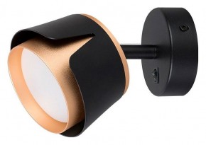 Бра Arte Lamp Amaks A8028AP-1BK в Озерске - ozersk.mebel24.online | фото