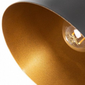 Бра Arte Lamp Thomas A7032AP-1BK в Озерске - ozersk.mebel24.online | фото 6