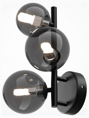 Бра Maytoni Dallas MOD545WL-03B в Озерске - ozersk.mebel24.online | фото 2