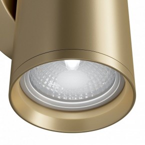Бра Maytoni Focus S C068WL-02MG в Озерске - ozersk.mebel24.online | фото 4
